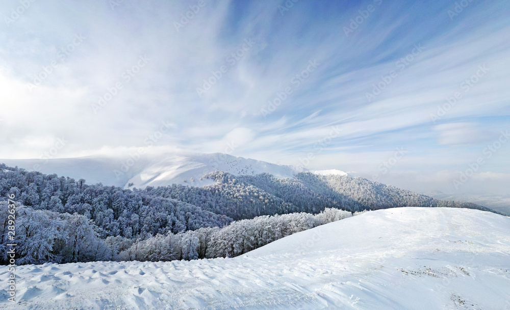 Frozen forest and meadows in Carpathians panorama