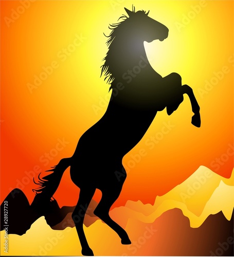caballo