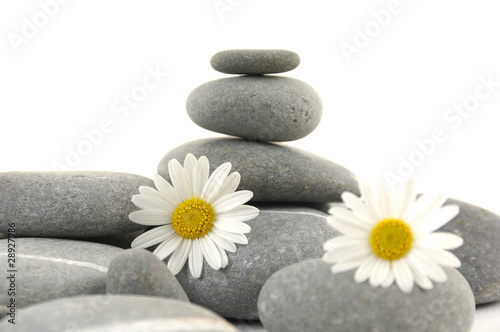 stones and flowers