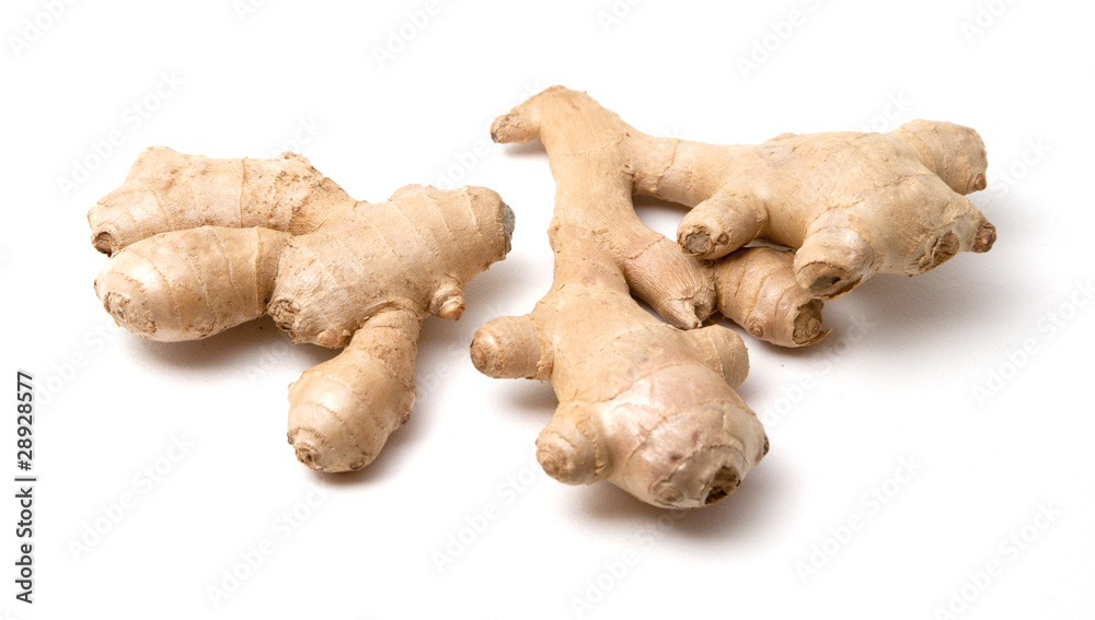 The root of ginger