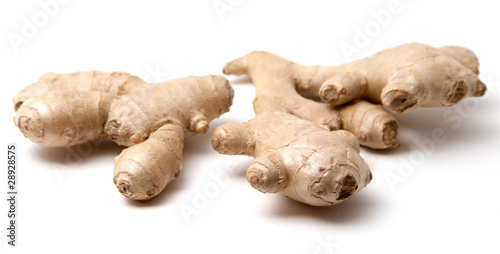 The root of ginger