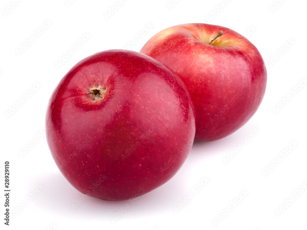 Two red apples isolated on white background