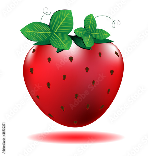 strawberry photo