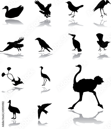 Set icons - 136. Birds