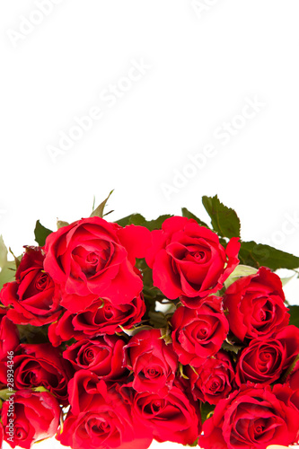Valentine s day roses and champagne wine isolated on white