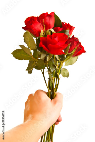 Male hand giving roses on white isolated background