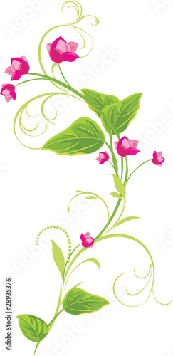 Sprig with pink flowers. Vector