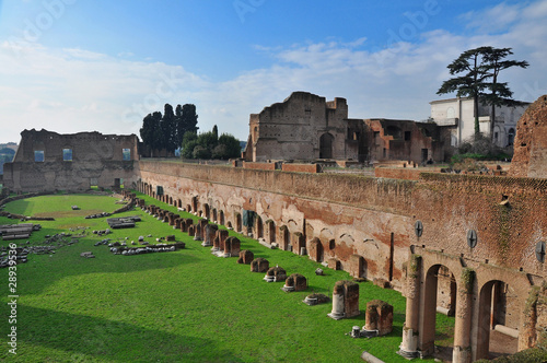Forum Romanum photo