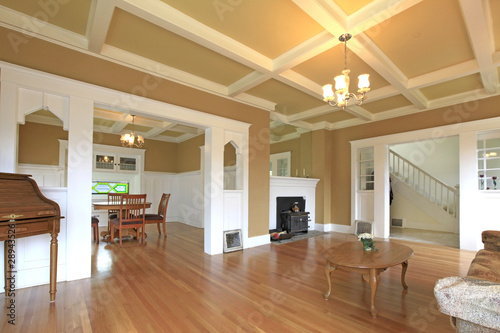 Canvas Print Luxury historical living room