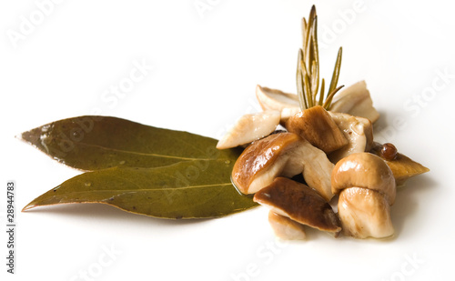 Tableau sur toile antipasto di funghi porcini sott'olio