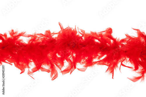red feathers-boas