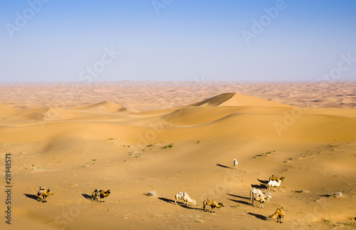 Sand desert  china