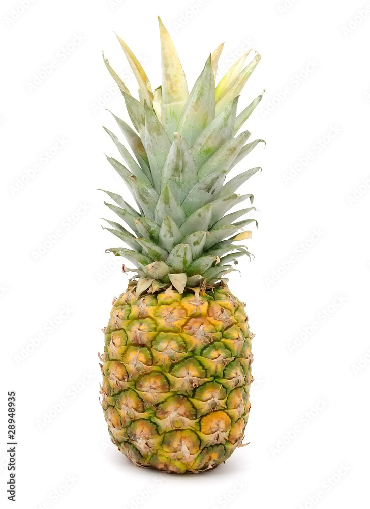 Pineapple Isolated on White Background Pineapple Isolated on White Background