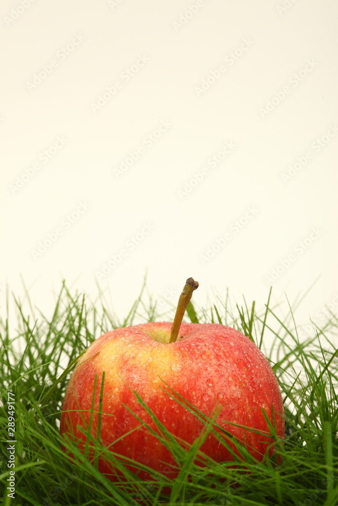 Apfel im Gras