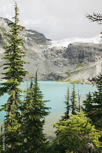 A glacier lake view with tree.