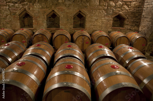 wine barrels photo