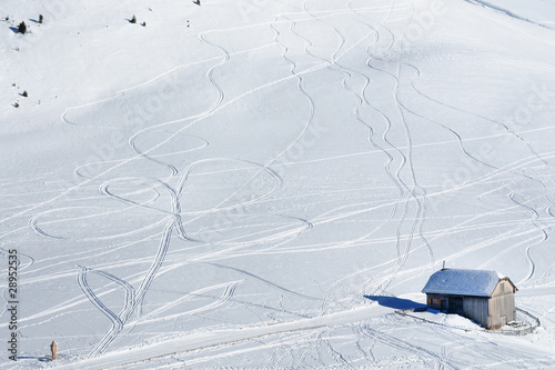 tracce sulla neve - Dolomiti - Pampeago Val di Fiemme 2011
