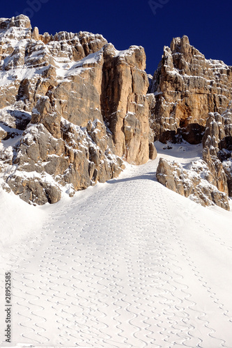 Dolomiti - Monte Latemar - sciatori fuoripista 2010-2011 photo