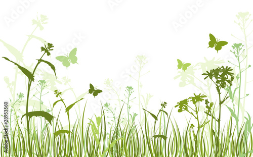 green floral background