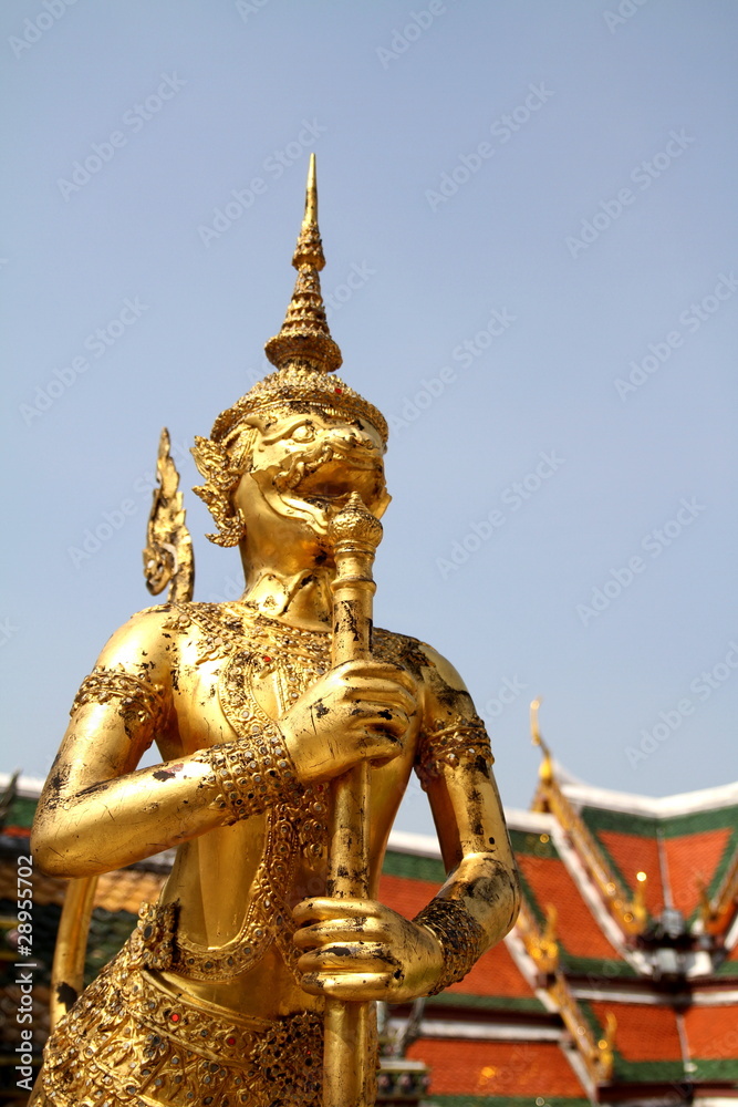 Fototapeta premium ワットプラケオのギンナリー