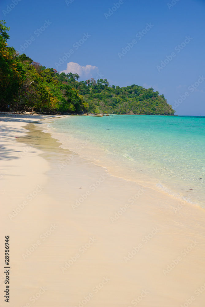 beautiful white sand beach of koh rok island, Krabi,Thailand