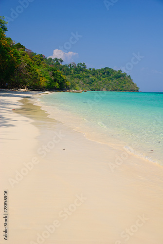 beautiful white sand beach of koh rok island  Krabi Thailand