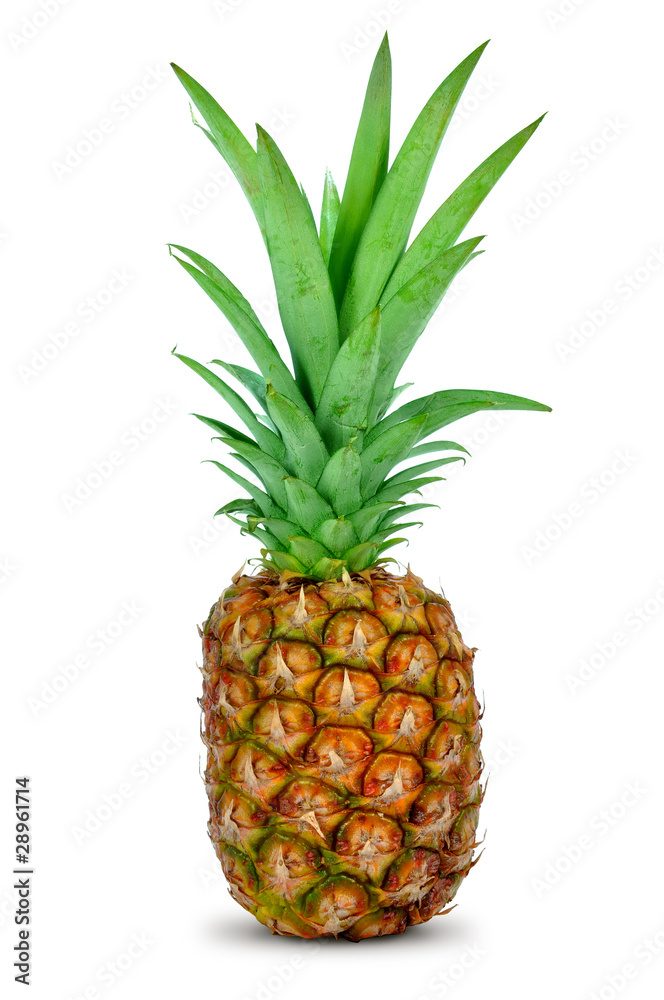 Fototapeta premium pineapple on white background