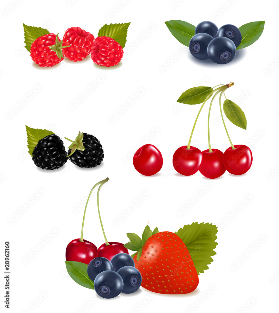 Collection of berry fruits. Vector. Collection of berry fruits. Vector.