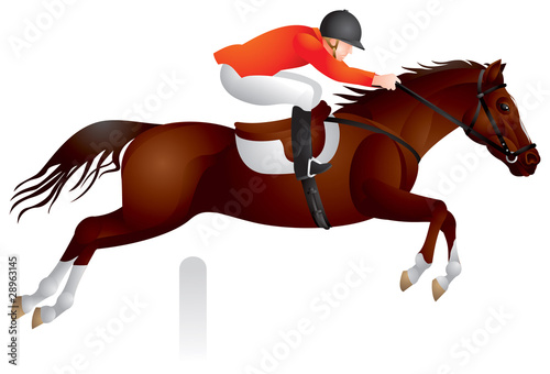 Horse Show jumping vector image