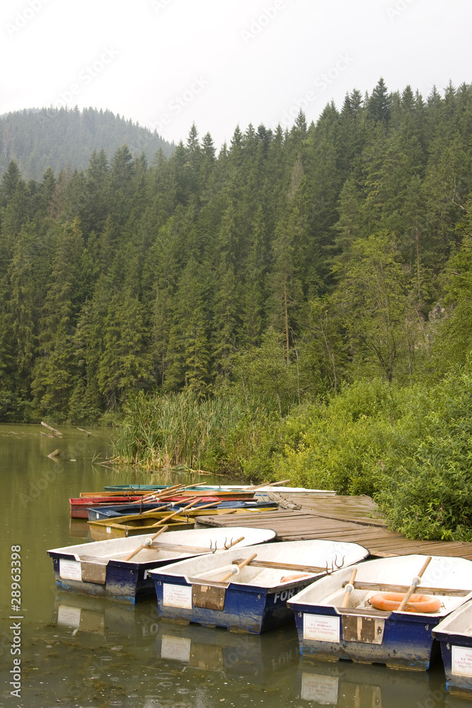 Rowing boats on lake