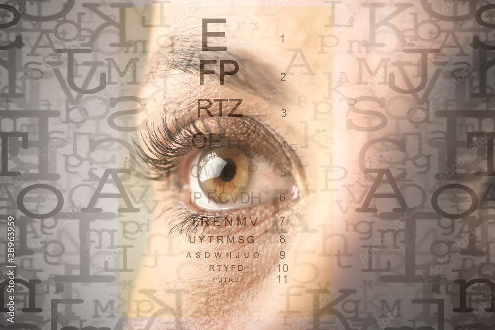 custom made wallpaper toronto digitalOptical