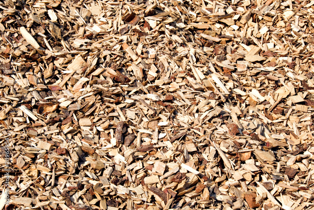Wood chips Wood chips