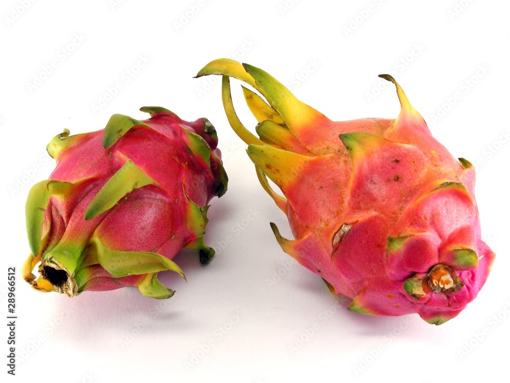 Dragon fruit pitaya pitahaya hylocereus undatus Dragon fruit pitaya pitahaya hylocereus undatus