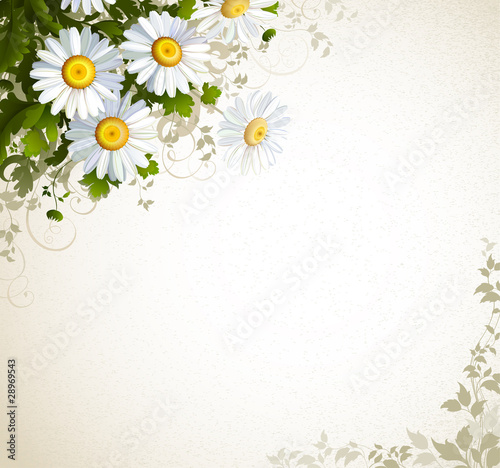 Glade with realistic chamomiles
