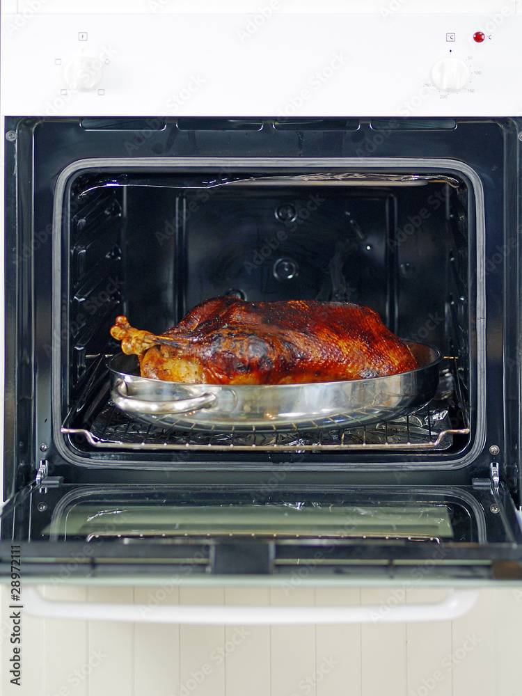 roast goose roast goose