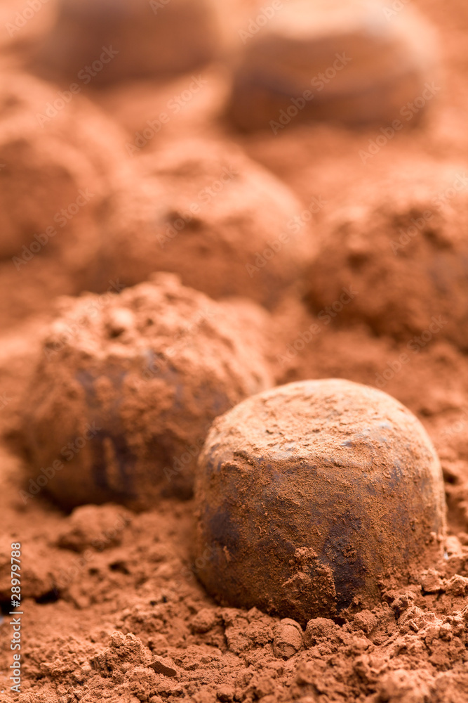 chocolate truffles chocolate truffles
