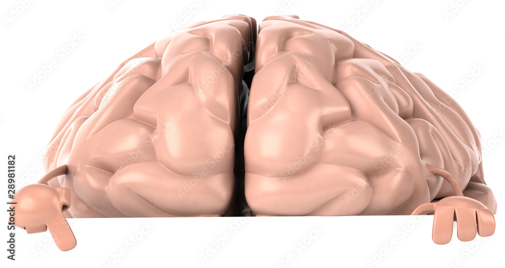 Fototapeta premium Cerveau