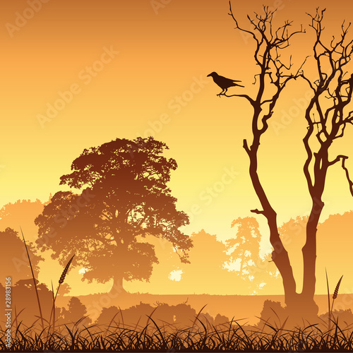 A Country Meadow Landscape with Trees and Bird