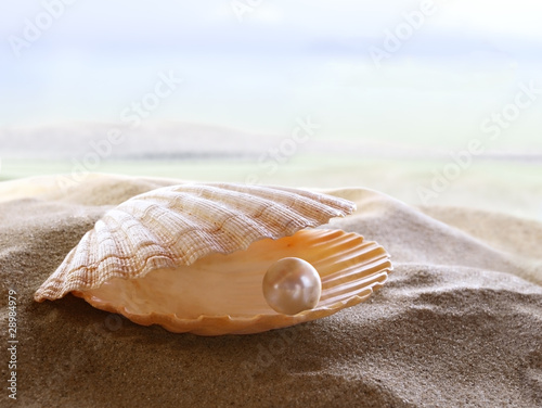 Shell with a pearl