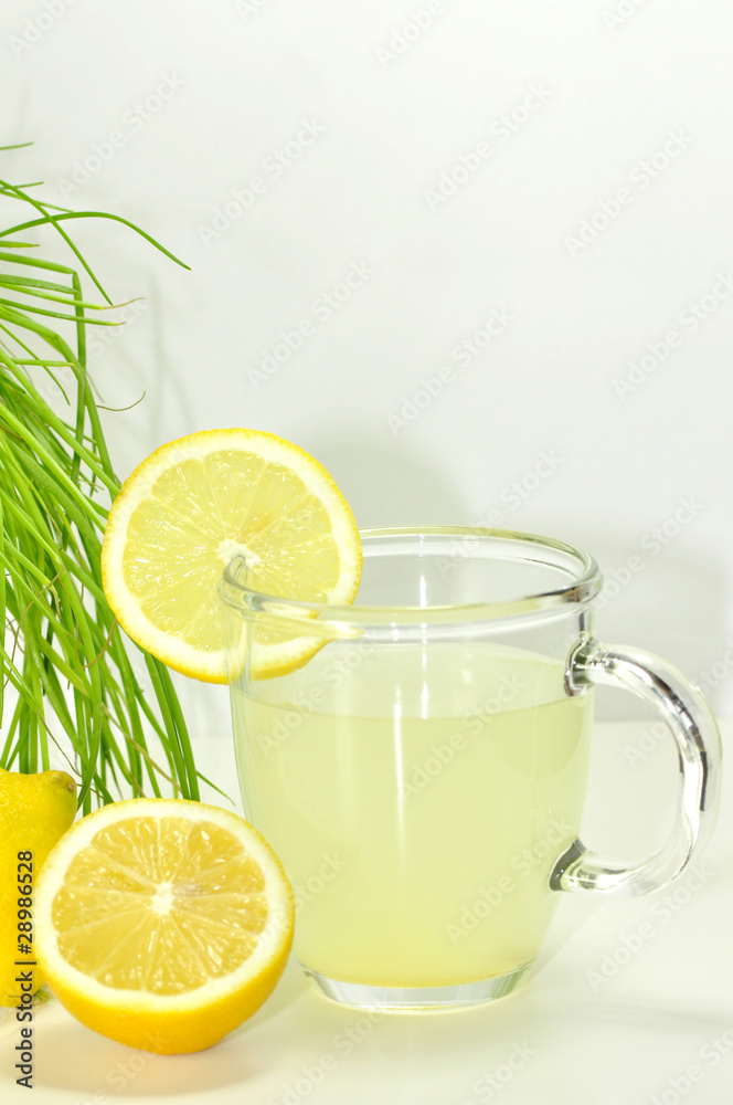 Zitronensaft Zitronensaft