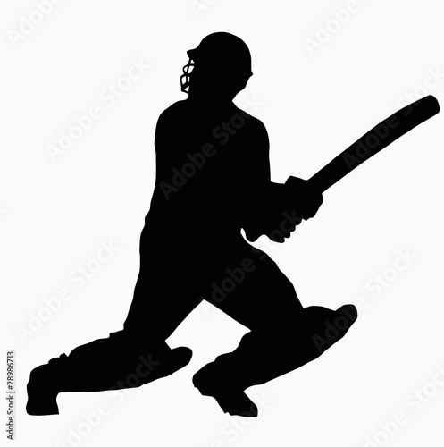 Sport Silhouette - Cricket Batsman