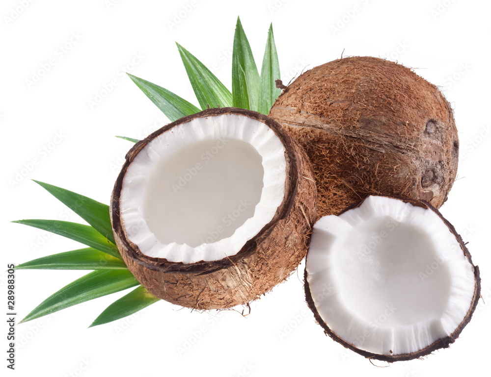 High-quality photos of coconuts on a white background. High-quality photos of coconuts on a white background.