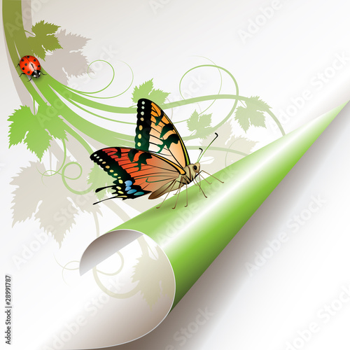 Curled corner with butterfly
