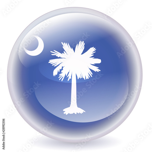 South Carolina Crystal Ball Icon
