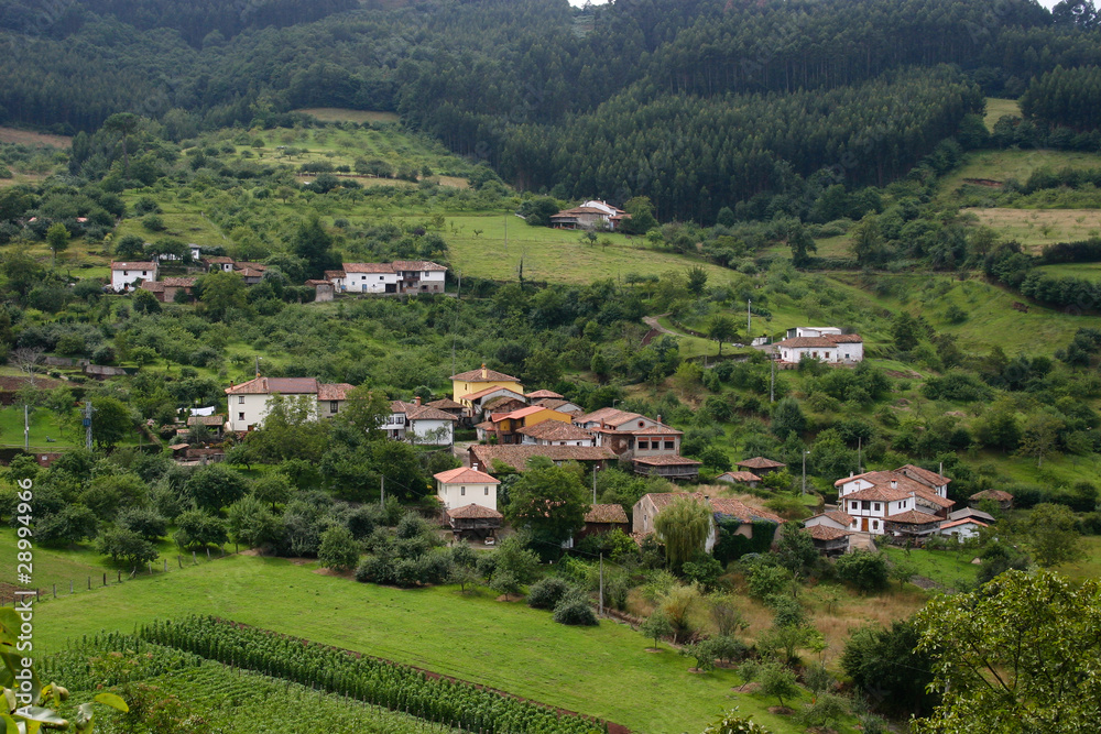Paisaje típico de Asturias. España Paisaje típico de Asturias. España