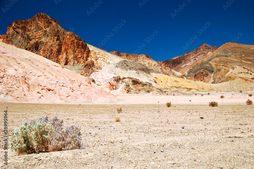 Lifeless landscape of the Valley of Death. California. USA
