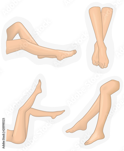 Legs