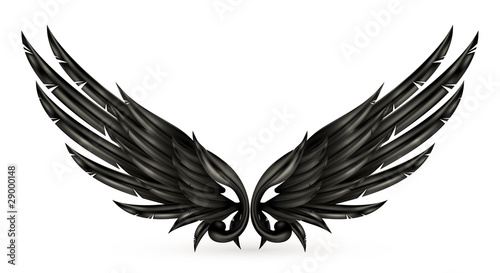 Wings black
