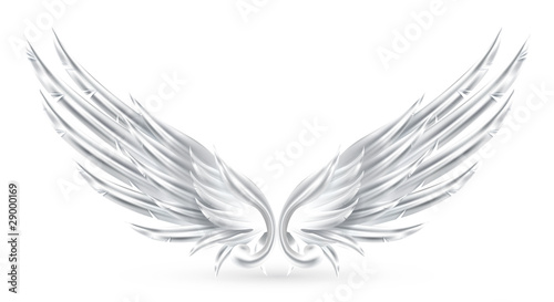 Wings White