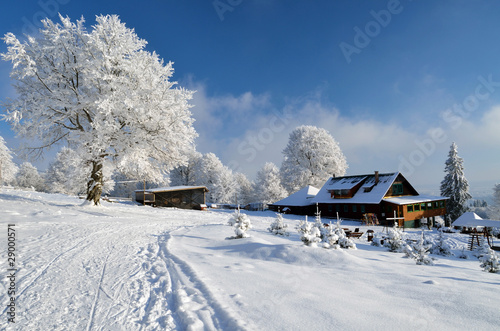 Idylic winter landscape with wooden chalet #29000571